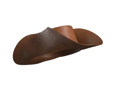 Cowboy Hat 3D model