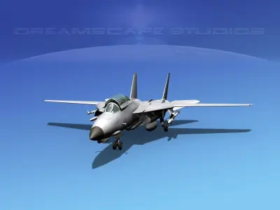 Grumman F-14D Tomcat Bare Metal  3D model