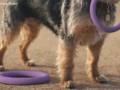 Dog Toy Puller Micro Used 3D model