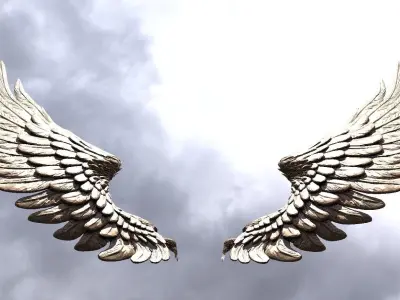 Serafim Wings 10  3D model