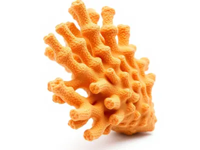Single Coral Fan Shape Textured Vibrant Model Pack Low-poly 3D model