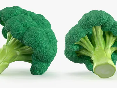 Whole Raw Broccoli Floret Green 3D model