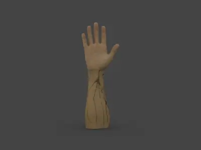 HAND-011 Right Hand Low-poly 3D model