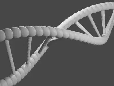 THE BASIC DNA MESH Free 3D print model