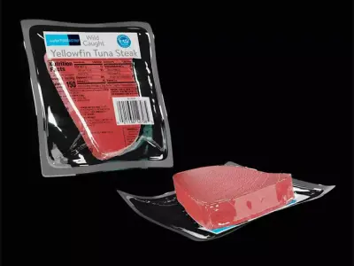 Tuna Steak 3D model