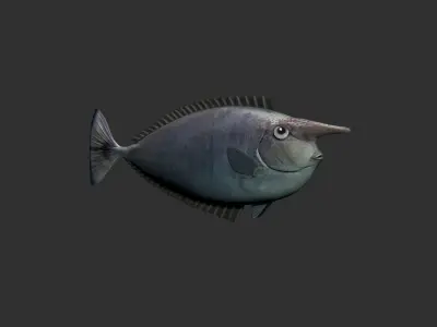 Unicorn Fish 3D model