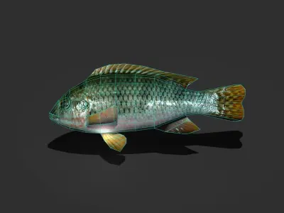 Green Sunfish Low-poly 3D model