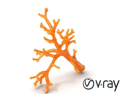 Branching Coral Textured Surface Model Pack Low-poly 3D model