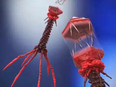  Bacteriophage Rigged for Cinema 4D 
