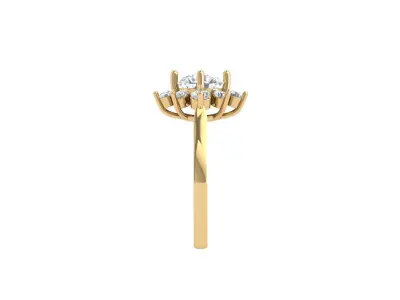 Engagement-ring 3D print model order
