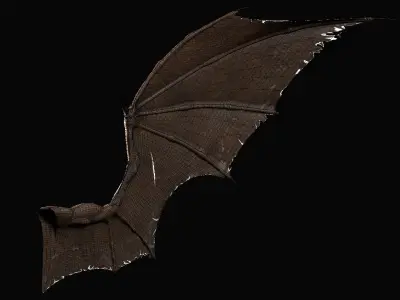 Pair of Bat Wings [C4D] 3D model