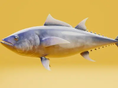 Tuna 3d model fish Low-poly 3D model