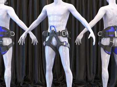 Sit Climbing Harness Standard 3D model