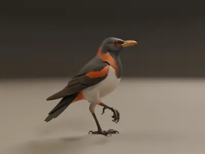 European Starling 3D print model
