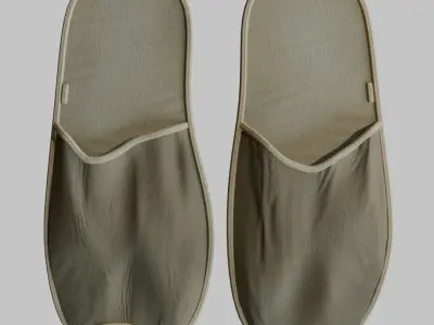 Vintage Slippers Low-poly 3D model