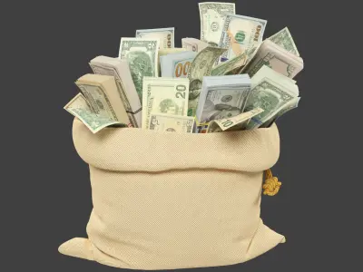  Money Bags Collection V40 