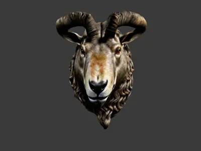 Animal Head Low-poly 3D model 7