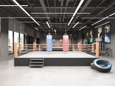 Boxing Gym Low-poly 3D model buy
