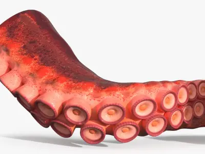  Octopus Arm Marine Animal Orange 