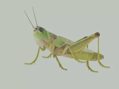 Grasshopper 3D model 2