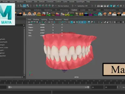  Realistic Mouth Teeth for character 