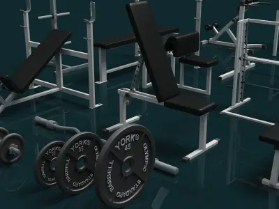 Gym Weight Collection 3D model