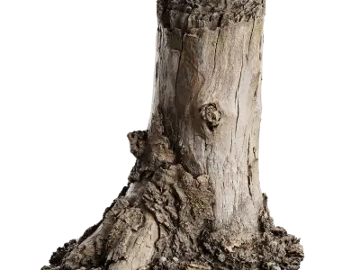  Medium Broken Bare Decaying Burly Stump Model 