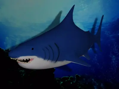 Shark 3D model 7