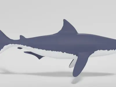The white shark Low-poly 3D model