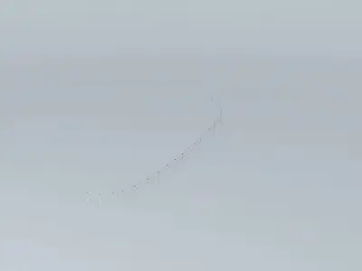 deck rope Free 3D model