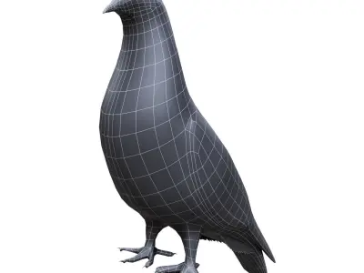 Pigeon pair of pigeons 3D model