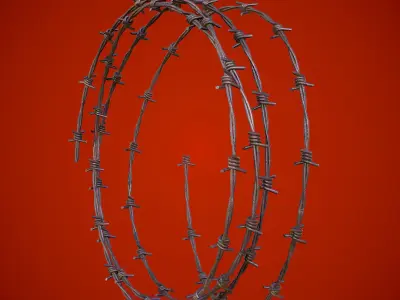 3D Barbed Wire Low-poly 3D model