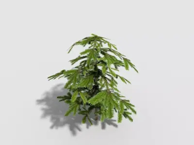 Shrub fir tree Low-poly 3D model