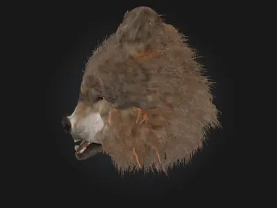 Ferocious Wolf Face  Intense Animal Bust Model for Fantasy 3D model