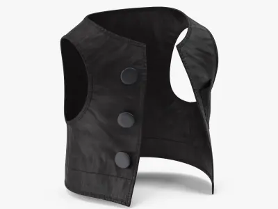 Cartoon Vest Black 3D model