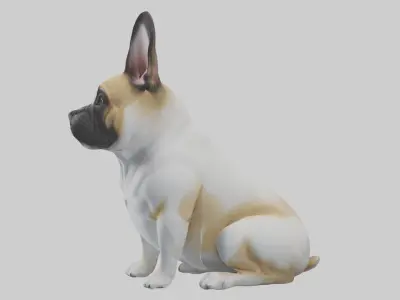 Sitting French Bulldog model Low-poly 3D model