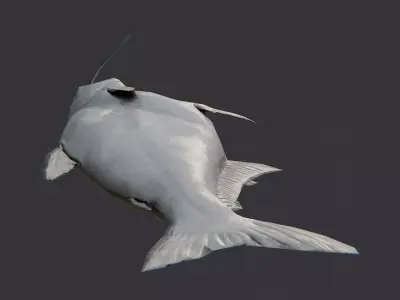 Basa Fish Set with Natural Texture Low-poly 3D model