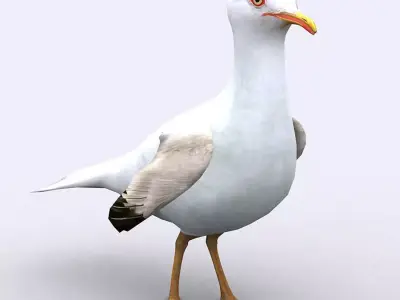 3DRT - Seagull Low-poly 3D model