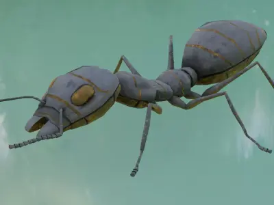 Ant 3D Model Animated and Rigged Low-poly 3D model
