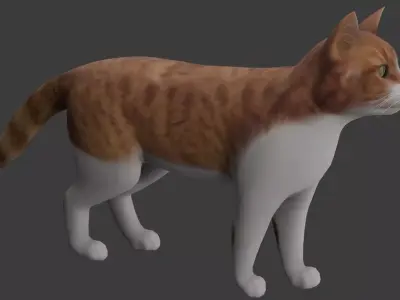 Cat model Low-poly 3D model buy