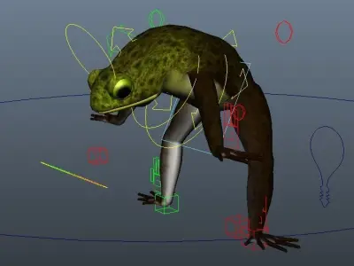Frog Rig Low-poly 3D model