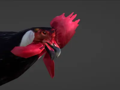 Rooster Low-poly 3D model