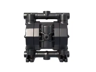 Diaphragm Pump - Pump Double Diaphragm Pump 3D print model buy