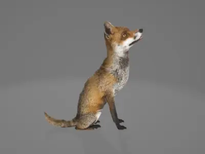 Animated Fox 3D model