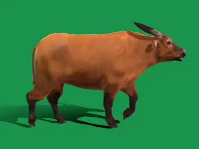 African Dwarf Forest Buffalo Free low-poly 3D model