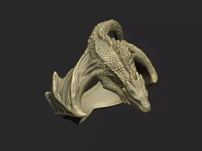Dragons ring designs power authorities monster killer skull  3D print model