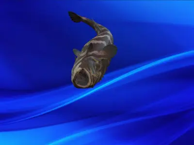 Fish Animation 3d model  Low-poly 3D model