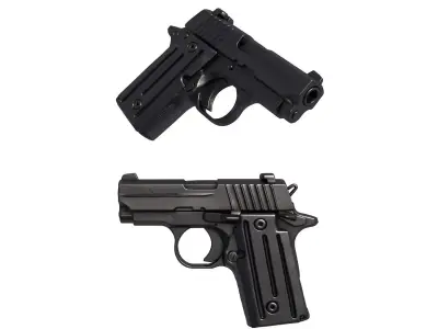 P238 RAINBOW 3D print model