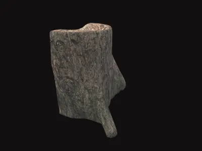 Medieval Tree Trunk V01 3D model