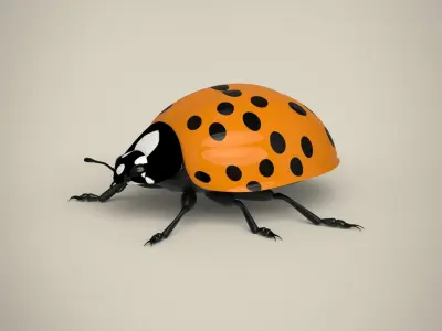 Ladybug Low-poly 3D model purchase